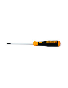 TORX šroubovák s vrtáním T20