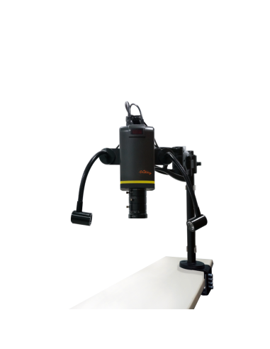 Lighting for shoulder stand