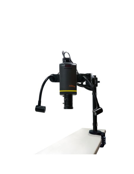 Lighting for shoulder stand