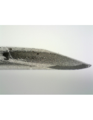 Digital USB microscope Dino-Lite AM73915MZTL